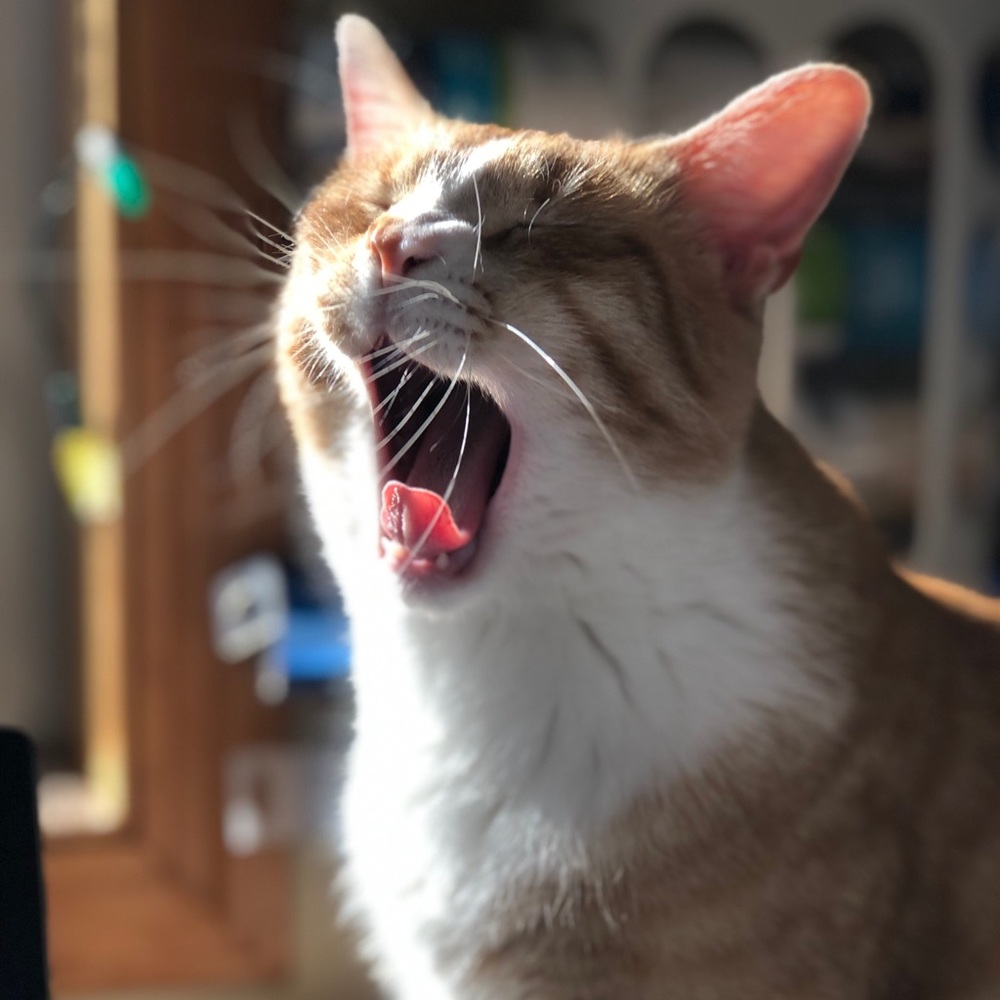 Meet your Posher, Rebecka